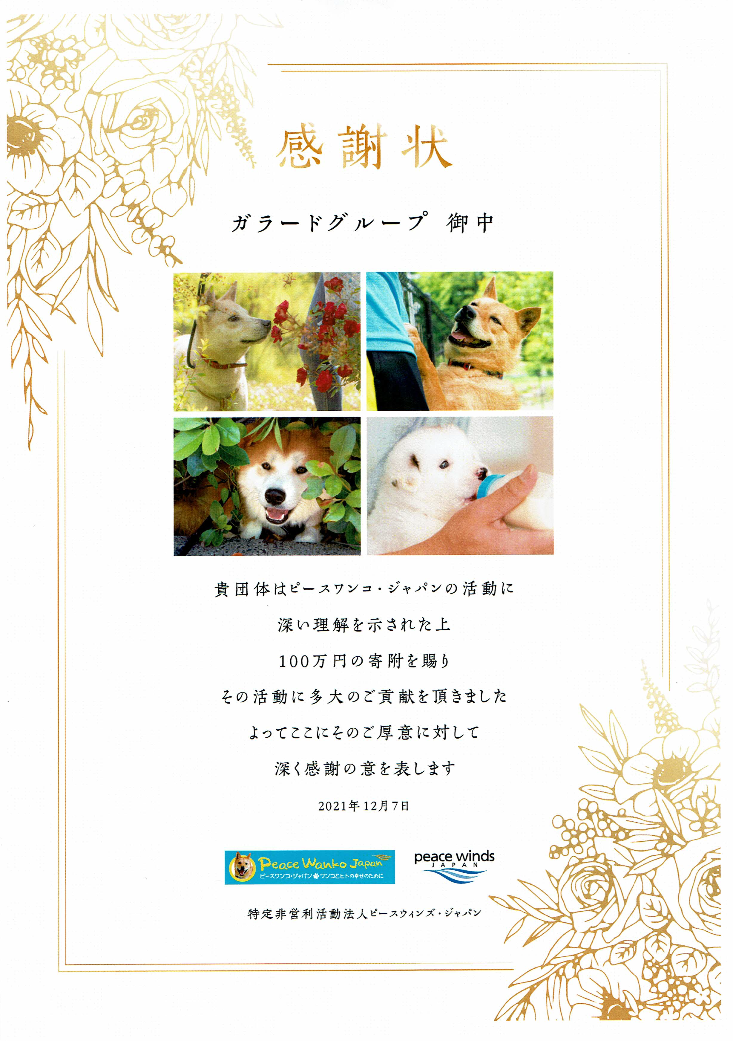 フリーコンテンツ画像